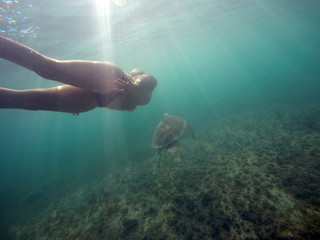 Mexican Sea Turtle underwater swimming with girl 3