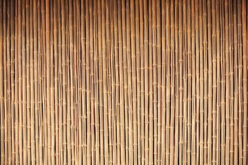 Papier Peint photo Lavable Bambou Bamboo fence background