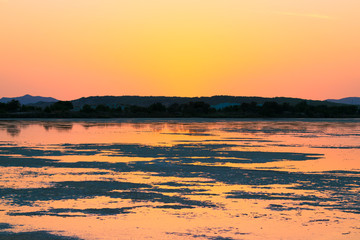 Sunset on the pond of pink flamingos in Chia, Sardinia.