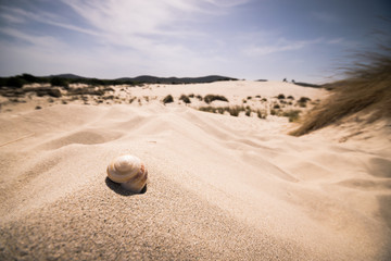 Fototapeta na wymiar The beach of Le Dune, Porto Pino, Sardinia, Italy.