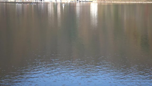 カヌーの練習風景