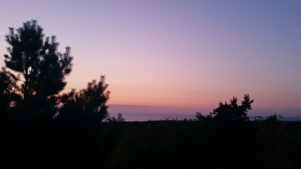 Sunset Violet Pink Sunset Sky Baltic Sea Landscape Trees