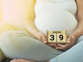 Calendar with weeks 39 of pregnant with pregnancy woman background. Maternity concept. Expecting an upcoming baby. Due date countdown.