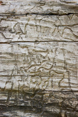 Log Writing