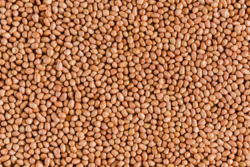 Peanuts use for background