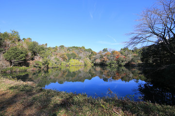 高知県安芸市　竜王池