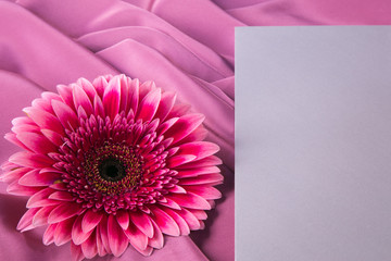 One gerbera flower on a background from silk  fabric