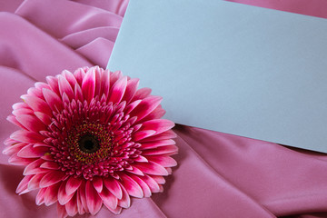 One gerbera flower on a background from silk  fabric