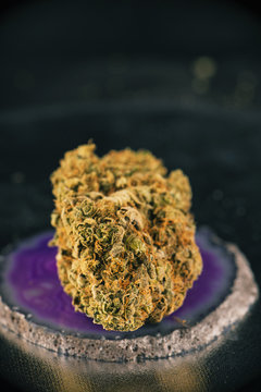 Single cannabis bud (sunshine daydream marijuana strain) on dark