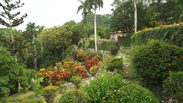 View to botanical garden in tropical jungle at summer sunny day
