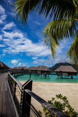 Bora Bora, Walkway, Beach, Palms & Bungalows