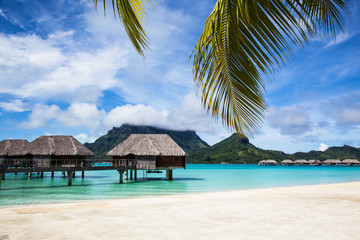 Bora Bora Beach with Palms and Houses (Bungalows)