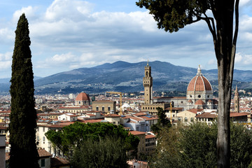 Fototapeta na wymiar Florence Landscapes VI / Florence My city My love