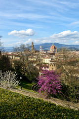 Florence Landscapes V / Florence My city My love