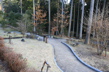 熊本県小国町　鍋ヶ滝　遊歩道