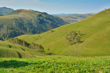 Fototapeta na wymiar Landscape in Transylvania (Romania)