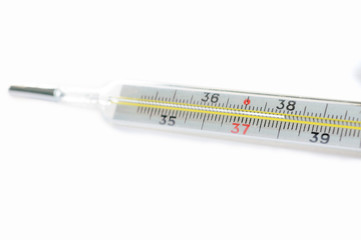 Medical thermometer isolated on the white background