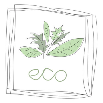 Green leaves and the words ECO