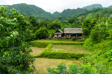 Asian Farm House. Farm house in a remote Vietnamese village. Rice paddies in the foreground, mountains in the background.