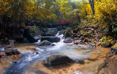 Waterfall and red bridge in Forest