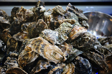 Fototapeta na wymiar Fresh oysters being sold at Borough Market