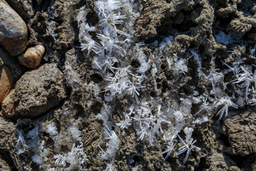 Sand and mud frozen under a layer of ice forming abstract shapes