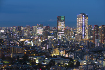 Obraz premium 東京都心の街並 夜景港区 六本木 赤坂 高層ビル群と密集するマンション