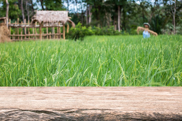 Wood table top and blurred rice field background 