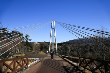 Fototapeta premium 大分県九重町 九重夢大吊橋