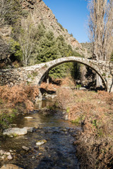 Fototapeta na wymiar Old Genoese bridge in the Tartagine valley in Corsica