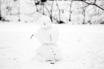 Loneliness, longing and sadness. Melting snowman during the thaw.