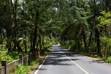 Fototapeta na wymiar Tropical country road
