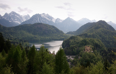 Fototapeta na wymiar Landscape with forest, lake and mountain in background, view from Neuschwanstein castle in Bavaria, Germany