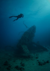 Naklejka na ściany i meble redsea diving