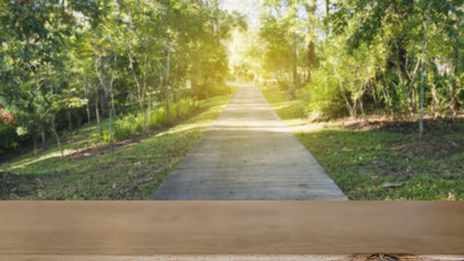 road in the forest in spring time (blur image) with selected foc