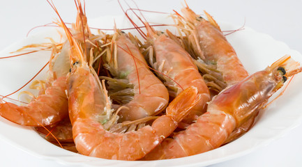 shrimp / prawns in a white plate / fresh shrimp on white plate in white background