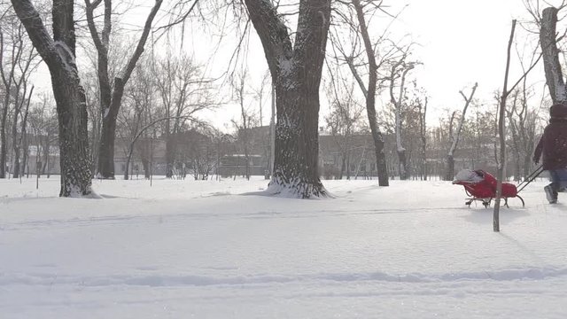 молодая мама катает маленького ребенка на санках в зимнем парке