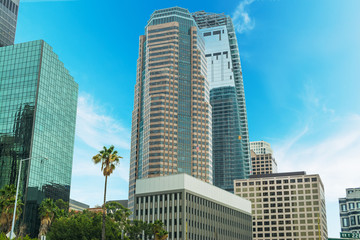 Skyscrapers in downtown L.A.