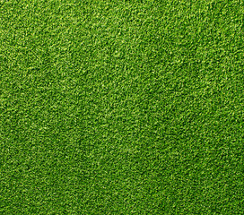 Obraz premium artificial Grass