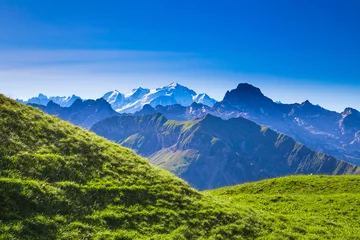 Photo sur Plexiglas Mont Blanc Montagne