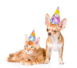 Puppy and kitten in birthday hats. isolated on white background