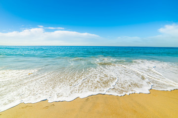 Naklejka premium golden shore in Pacific Beach