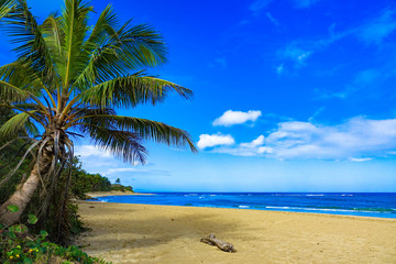 Obraz na płótnie Canvas Tropical Beach