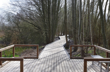 Weg durch das Moor in Lübars (Berlin)