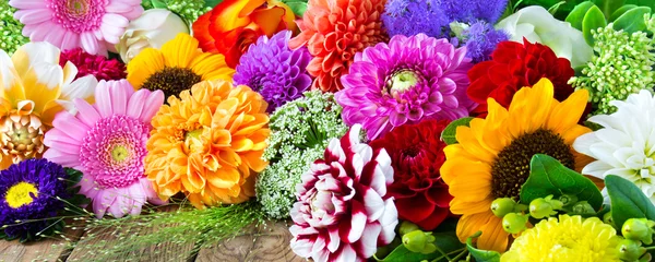 Photo sur Aluminium Gerbera Fleurs