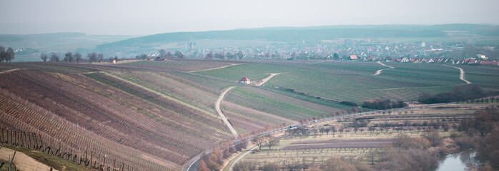 Wonderful vineyard in bavaria