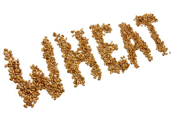 WHEAT geschrieben mit Weizenkörnern auf weißem Hintergrund