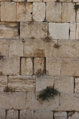Western Wall - Temple Mount - Jerusalem - 03
