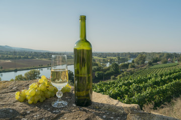 Vineyards, Gate of Bohemia, a bottle and a glass of white wine,the sun shines, the river, Czech...