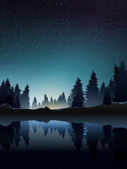 Obraz premium pine wood near lake at night
